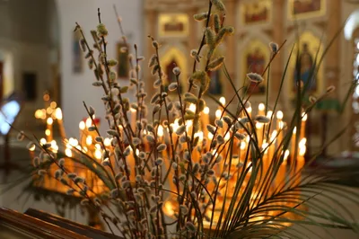 Вербное воскресенье 2023 - как освятить вербу дома и в церкви | РБК Украина