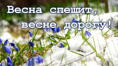 Поздравления с первым днем весны - прикольные и смешные открытки на 1 марта  - Апостроф