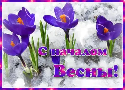 Букет \"Наслаждение весной\" - заказать с доставкой недорого в Москве по цене  18 200 руб.