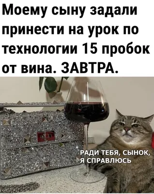 Сколько лет самой старой бутылке вина, что такое «мюзле» и другие  интересные факты о вине | Пикабу