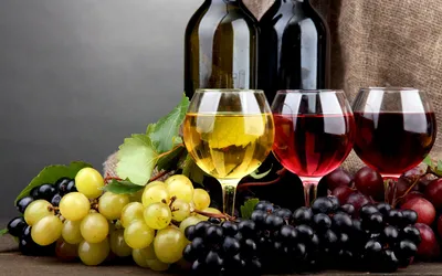 Почему с выдержкой хорошее вино становится еще лучше: самые интересные  детали производства вина - 24 Канал