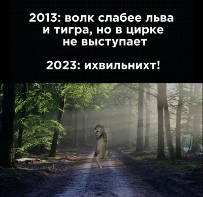 Волк с надписью на латыни. Человек человеку волк. Изолированные на белом  фоне. Иллюстрация вектора - иллюстрации насчитывающей злобный, волк:  179382954