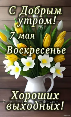 С Добрым утром выходных - Выходные добрые открытки | Выходные, Доброе утро,  Открытки