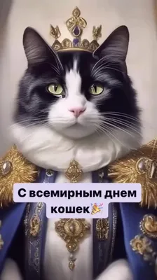 Всемирный день кошки 2022: картинки на украинском, поздравления в прозе и  стихах — Украина