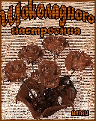 Цветение шоколадного дерева совпало в «Аптекарском огороде» со Всемирным  днем шоколада - Москва.Центр