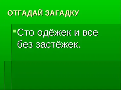 СМЕШНЫЕ ЗАГАДКИ С ПОДВОХОМ И С ОТВЕТАМИ.. Обсуждение на LiveInternet -  Российский Сервис Онлайн-Дневников