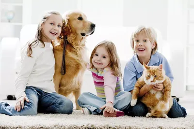 Дети и домашние животные – Статья медицинского центра «Медгород»