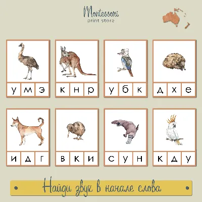 Купить Наклейка на стену с мультяшными животными и английскими словами,  самоклеящиеся обои для украшения детской комнаты, спальни | Joom