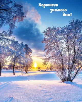 Открытки! Картинка открытка с пожеланиями доброго зимнего утра, зима доброе  утро!