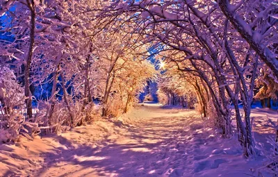 Красивый снег - 71 фото