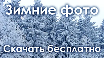 Бесплатное изображение: красивые фото, туман, мороз, замороженные, ледяной  кристалл, Веточка, Погода, снег, зима, природа