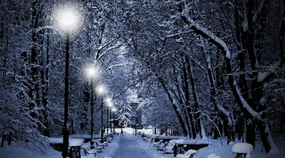 Красивые картинки про зиму (80 фото)