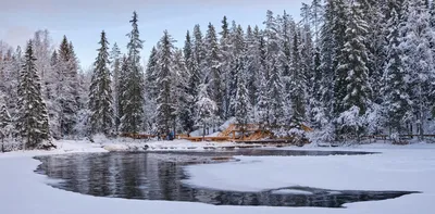 Карелия зимой 💥: лучшие места для отдыха, куда поехать и что посмотреть —  Tripster.ru