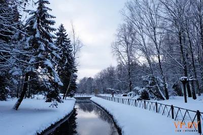 Где отдохнуть зимой в России – куда поехать?