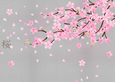 Цветение Сакуры в Японии - лучшие места для любования | Planet of Hotels