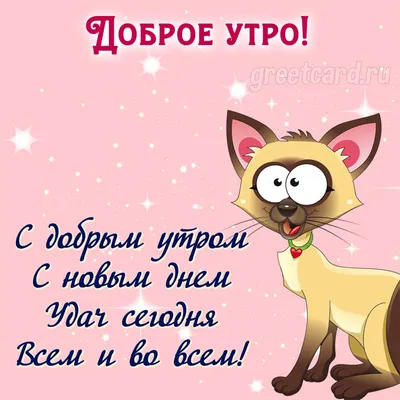 САМОГО ДОБРОГО УТРА ВСЕМ! 💟💯💟💖🙏💖🐱❤️🐱❤️ | Instagram