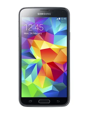Samsung Galaxy A5 Black / White Demo (A500)