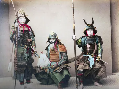 Дух стендов самураев в сером лесу Иллюстрация штока - иллюстрации  насчитывающей биографической, япония: 193611381