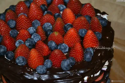 Невероятно красивые торты, которые слишком милые, чтобы их есть (ФОТО) »  Новости Украины и мира