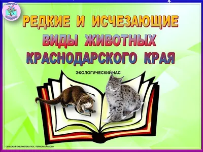 На грани исчезновения: 10 редких видов животных – статья – Корпорация  Российский учебник (издательство Дрофа – Вентана)