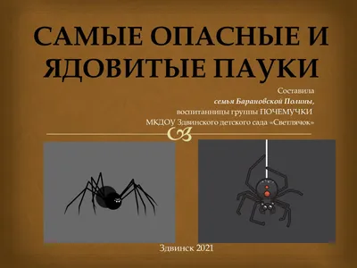 Ядовитые пауки обосновались в Краснодарском крае
