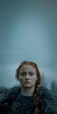 Картинки санса
