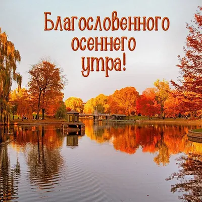 🍁С Добрым Осенним Утром!!!Доброе утро!🍂#доброеосеннееутро#сдобрымутр... |  TikTok