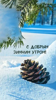 Добрые пожелания 💞 Открытки | ❄️ С Добрым Зимним Утром ☕ Хорошего  Счастливого дня 💕 | Дзен