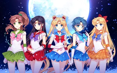 Аниме - Красавица-воин Сейлор Мун [ТВ] (Bishoujo Senshi Sailor Moon)