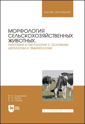 О порядке идентификации сельскохозяйственных животных.