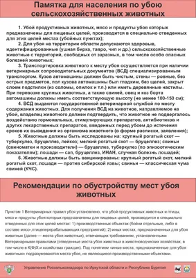 Кормосмесь на основе природного цеолита «Добрый селянин» для всех видов сельскохозяйственных  животных