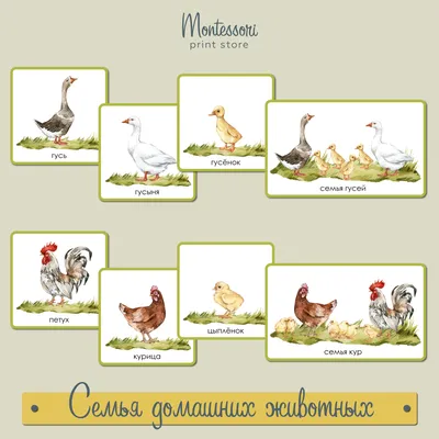 Схема для бисера животные хищники, \"Львиная семья\": продажа бисера, цена на  схемы для вышивки в Запорожье и Украине. бисерное рукоделие от \"Серебряная  бусинка\" - 272865033