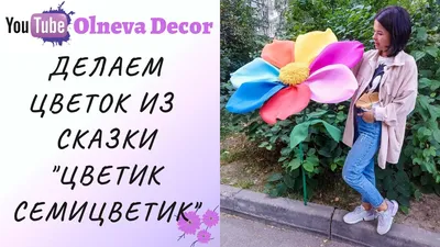 Семь нот семьи \"Семицветика\"