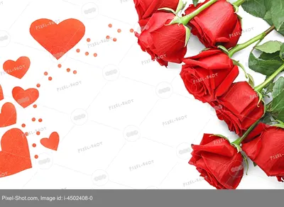 Ткань красные сердца, ткань красные сердечки на белом в интернет-магазине  Ярмарка Мастеров по цене 990 ₽ – M46L2BY | Ткани, Москва - доставка по  России