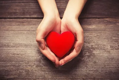 Сердце Руки Романтичный - Бесплатное фото на Pixabay - Pixabay