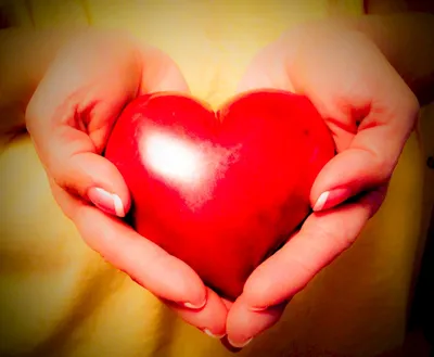 Красное сердце в руках семьи на светлом фоне :: Стоковая фотография ::  Pixel-Shot Studio