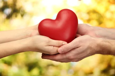 Сердце в руках сердца греет предпосылку Стоковое Изображение - изображение  насчитывающей призрение, защитите: 33852729