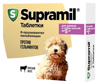 Какой корм лучше для щенков 🐶: выбор корма для щенка - ProPlan.ru