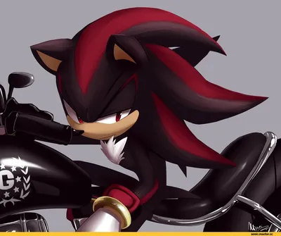 Shadow the hedgehog (Ёж Шедоу, Еж Шедоу) :: StH art :: Sonic (соник, Sonic  the hedgehog, ) :: фэндомы / картинки, гифки, прикольные комиксы,  интересные статьи по теме.