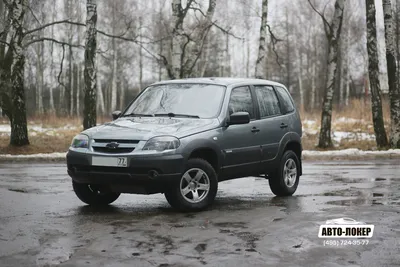 Chevrolet Niva – народный отечественный вездеход | Автосалон Car-SO | Москва