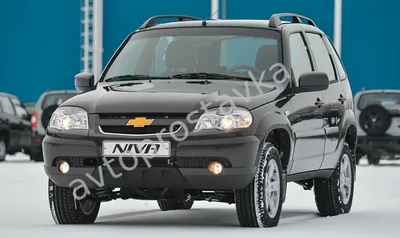Надёжен ли Chevrolet Niva I поколения: все проблемы внедорожника с пробегом  - читайте в разделе Учебник в Журнале Авто.ру
