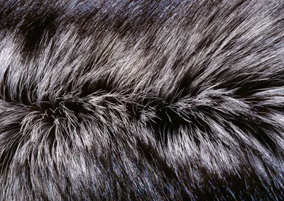Текстуры шкуры животных | Animal skin textures » Векторные клипарты,  текстурные фоны, бекграунды, AI, EPS, SVG