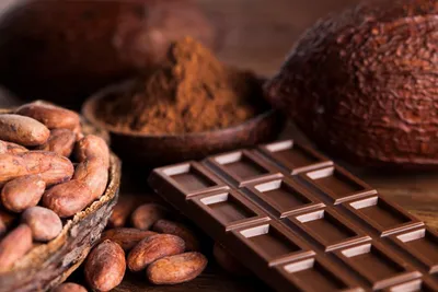 Горький шоколад: польза для здоровья женщины