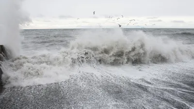 Штормовое море - фото и картинки: 64 штук