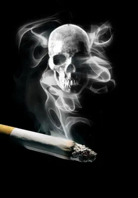 10 самых продаваемых сигарет в США: показываю, какие сигареты на самом деле  курят американцы | ТАБАЧНАЯ КУЛЬТУРА | Дзен