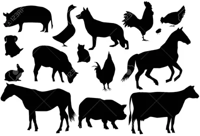 силуэты животных иллюстрация вектора. иллюстрации насчитывающей выдра -  3313751