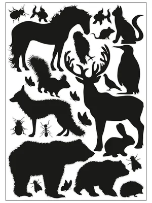 Силуэт животных PNG , животное, Силуэт, иллюстрация PNG картинки и пнг  рисунок для бесплатной загрузки
