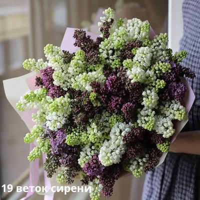 Букет сирени «Пурпурные мечты» 💐 купить по цене 2 707 ₽ с доставкой в  Москве