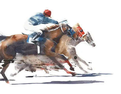 Абхазские лошади заняли призовые места на скачках в честь закрытия сезона -  17.10.2021, Sputnik Абхазия