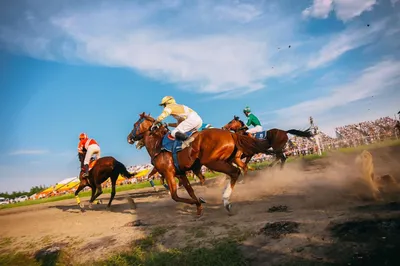 Скачки. День ахалтекинской лошади, 22 июля 2023 10:00, Краснодарский  ипподром - Афиша Краснодара